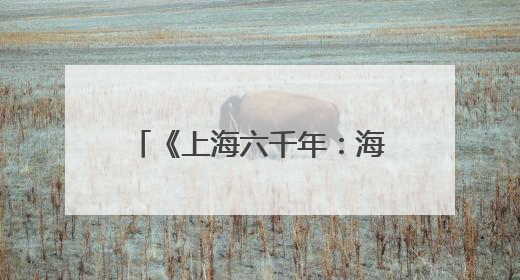 《上海六千年：海纳百川的文明之路》：解锁上海城市精神的基因密码