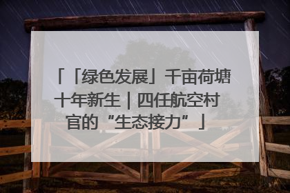 「绿色发展」千亩荷塘 十年新生｜四任航空村官的“生态接力”