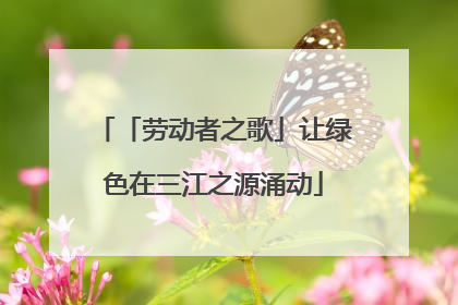 「劳动者之歌」让绿色在三江之源涌动