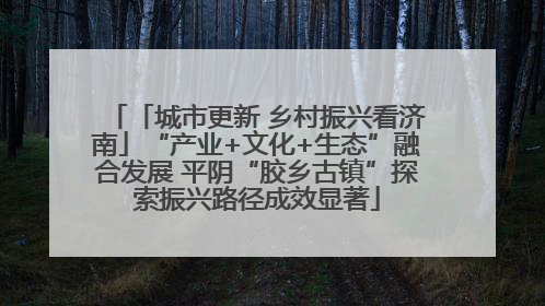 「城市更新 乡村振兴看济南」“产业+文化+生态”融合发展 平阴“胶乡古镇”探索振兴路径成效显著