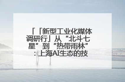 「新型工业化媒体调研行」从“北斗七星”到“热带雨林”：上海AI生态的技术商业共生密码
