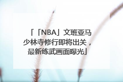 「NBA」文班亚马少林寺修行即将出关，最新练武画面曝光