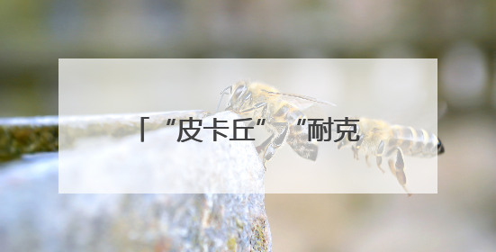 “皮卡丘”“耐克”都不能用了，日本禁止为新生儿取“非常规”姓名