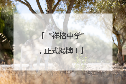 “祥榕中学”，正式揭牌！