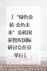 “绿色金砖 金色未来”金砖国家智库国际研讨会在京举行