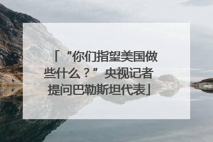 “你们指望美国做些什么？”央视记者提问巴勒斯坦代表