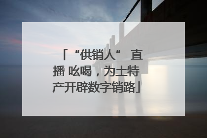 “供销人” 直播 吆喝，为土特产开辟数字销路