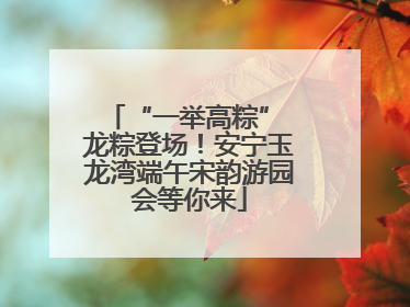 “一举高粽” 龙粽登场！安宁玉龙湾端午宋韵游园会等你来