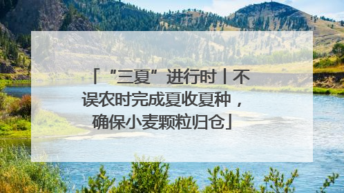 “三夏”进行时丨不误农时完成夏收夏种，确保小麦颗粒归仓