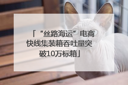 “丝路海运”电商快线集装箱吞吐量突破10万标箱