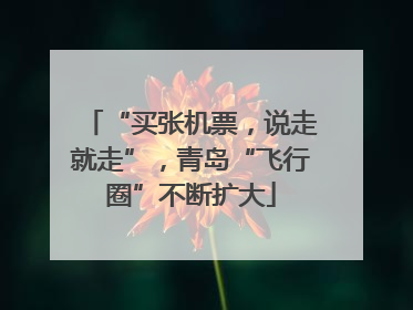 “买张机票，说走就走”，青岛“飞行圈”不断扩大