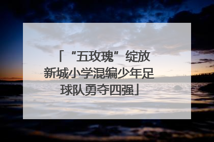 “五玫瑰”绽放 新城小学混编少年足球队勇夺四强
