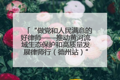 “做党和人民满意的好律师——推动黄河流域生态保护和高质量发展律师行（德州站）”活动成功举办