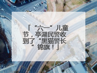 “六一”儿童节，亭湖民警收到了“黑猫警长”锦旗！
