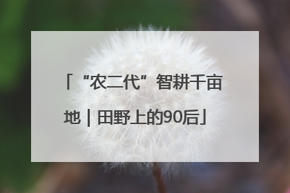 “农二代”智耕千亩地｜田野上的90后