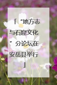 “地方志与石窟文化”分论坛在安岳县举行