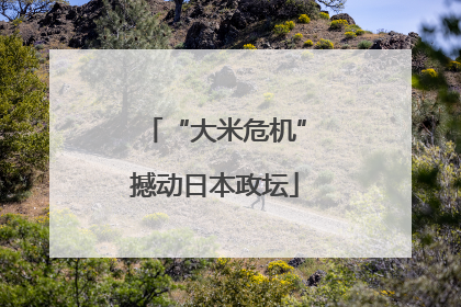 “大米危机”撼动日本政坛