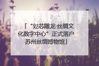 “彣芯雕龙·丝绸文化数字中心”正式落户苏州丝绸博物馆