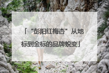 “彭阳红梅杏”从地标到金标的品牌蜕变
