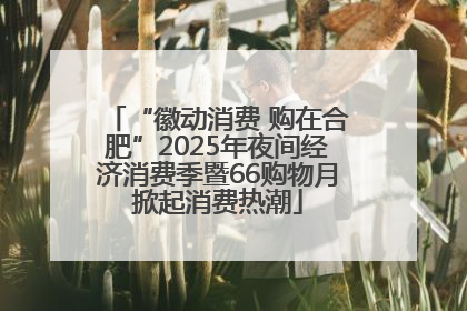 “徽动消费 购在合肥”2025年夜间经济消费季暨66购物月掀起消费热潮