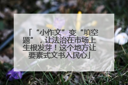 “小作文”变“填空题”，让法治在市场上生根发芽！这个地方让要素式文书入民心