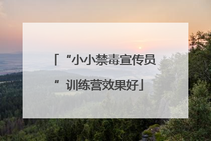 “小小禁毒宣传员”训练营效果好
