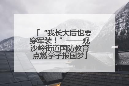 “我长大后也要穿军装！”——观沙岭街道国防教育点燃学子报国梦