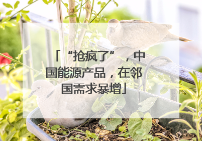 “抢疯了”，中国能源产品，在邻国需求暴增