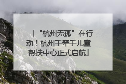 “杭州无孤”在行动！杭州手牵手儿童帮扶中心正式启航