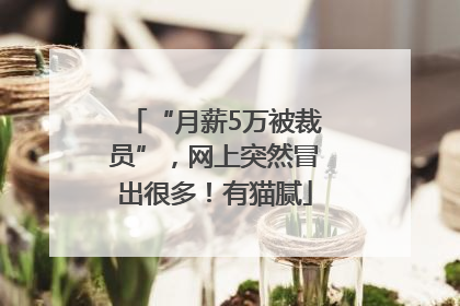 “月薪5万被裁员”，网上突然冒出很多！有猫腻
