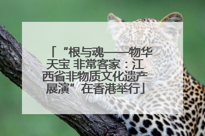 “根与魂——物华天宝 非常客家：江西省非物质文化遗产展演”在香港举行