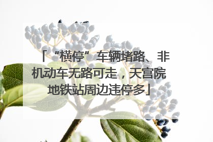 “横停”车辆堵路、非机动车无路可走，天宫院地铁站周边违停多