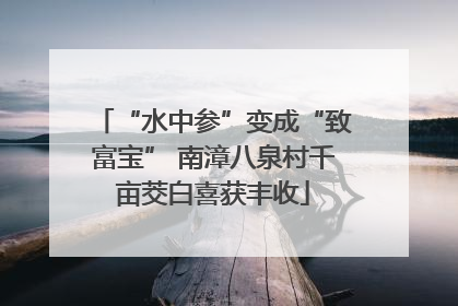 “水中参”变成“致富宝” 南漳八泉村千亩茭白喜获丰收