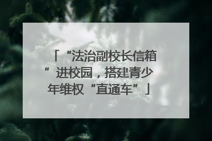 “法治副校长信箱”进校园，搭建青少年维权“直通车”