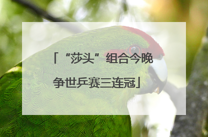 “莎头”组合今晚争世乒赛三连冠