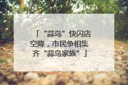 “蒜鸟”快闪店空降，市民争相集齐“蒜鸟家族”