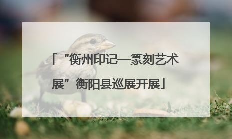“衡州印记—篆刻艺术展”衡阳县巡展开展