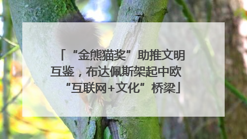 “金熊猫奖”助推文明互鉴，布达佩斯架起中欧“互联网+文化”桥梁