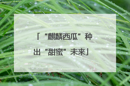 “麒麟西瓜”种出“甜蜜”未来
