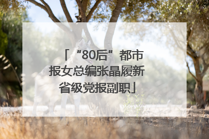 “80后”都市报女总编张晶履新省级党报副职