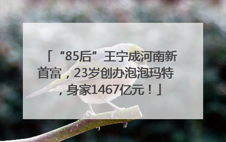 “85后”王宁成河南新首富，23岁创办泡泡玛特，身家1467亿元！