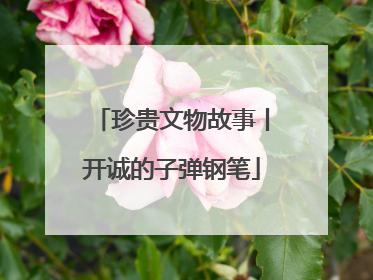 珍贵文物故事丨开诚的子弹钢笔