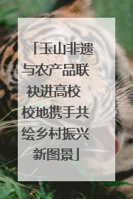 玉山非遗与农产品联袂进高校 校地携手共绘乡村振兴新图景