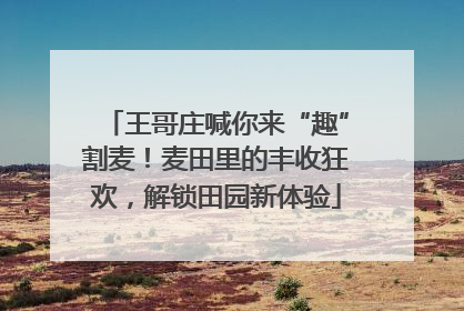 王哥庄喊你来“趣”割麦！麦田里的丰收狂欢，解锁田园新体验