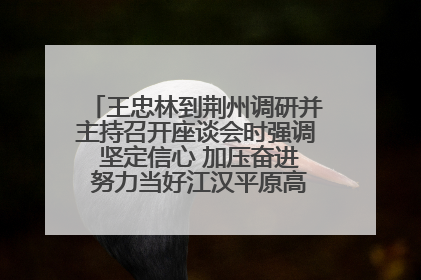 王忠林到荆州调研并主持召开座谈会时强调 坚定信心 加压奋进 努力当好江汉平原高质量发展排头兵
