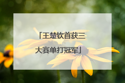 王楚钦首获三大赛单打冠军