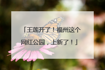 王莲开了！福州这个网红公园，上新了！