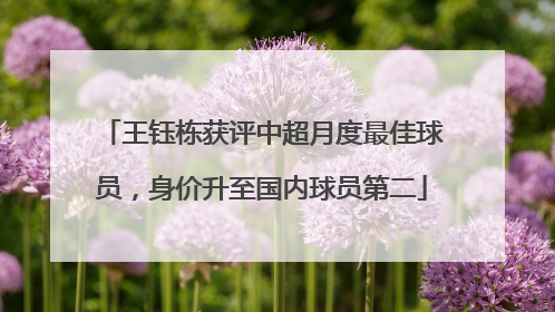 王钰栋获评中超月度最佳球员，身价升至国内球员第二