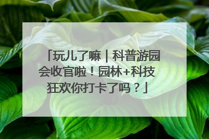 玩儿了嘛｜科普游园会收官啦！园林+科技狂欢你打卡了吗？
