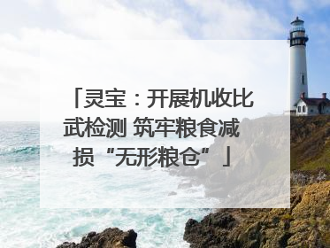 灵宝：开展机收比武检测 筑牢粮食减损“无形粮仓”